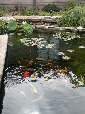 Botanica, The Wichita Gardens by null