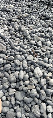 Yaquina Head Lighthouse by null