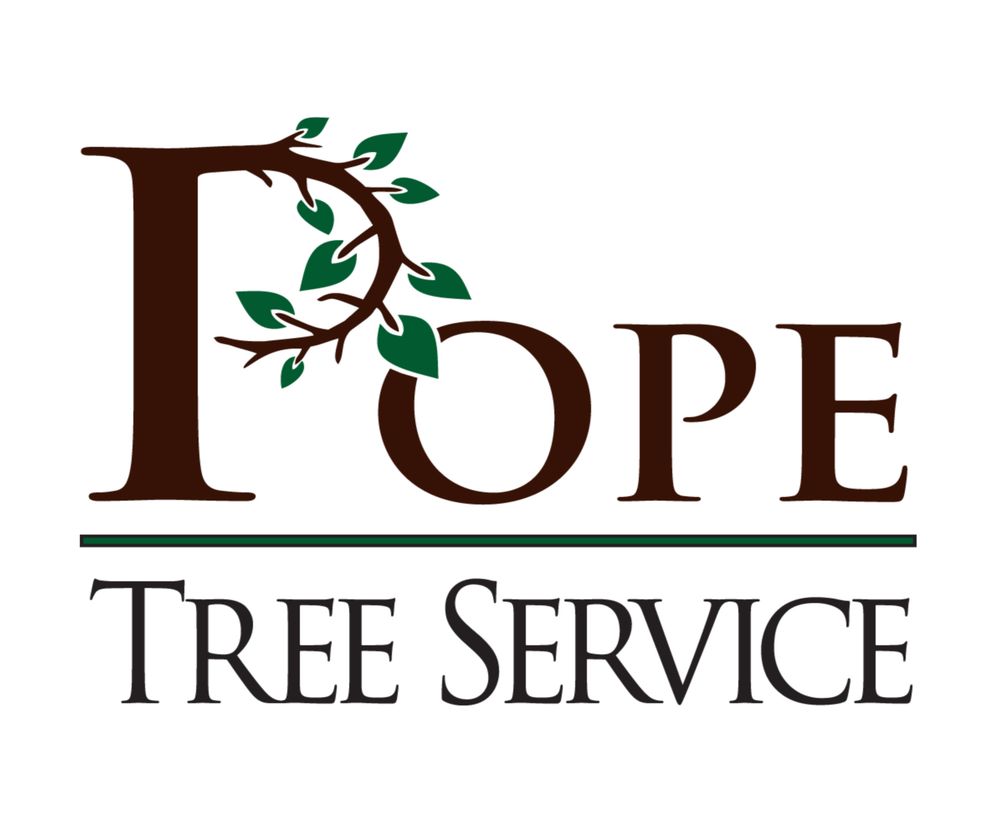 POPE TREE SERVICE 19 Photos & 21 Reviews Tree Services Ramona, CA