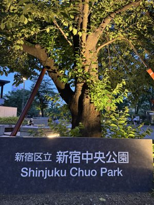 Shinjuku Chuo Park by null