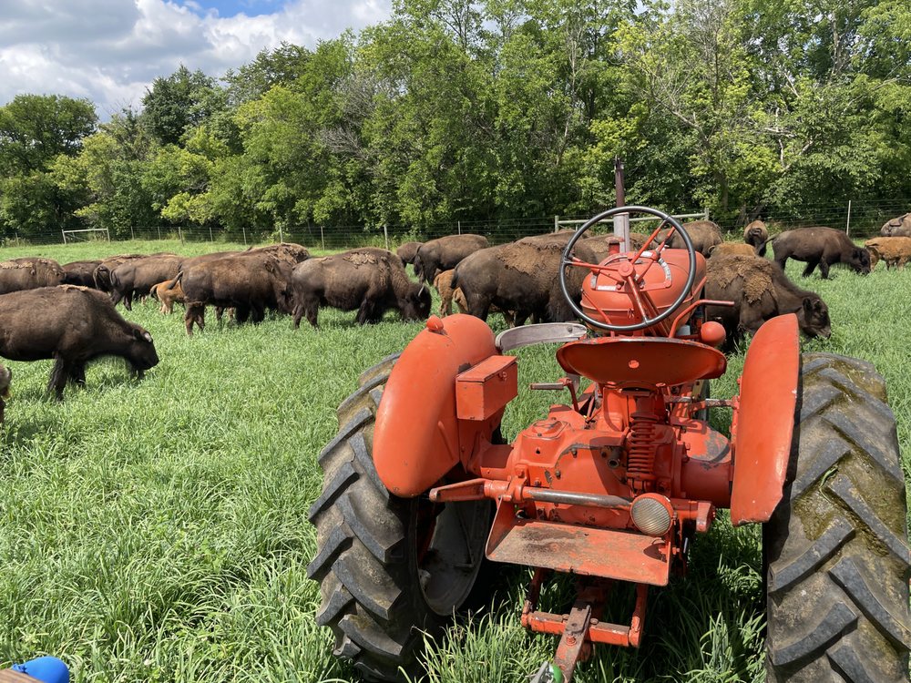 Bracy Gold Bison Ranch