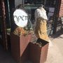 Photo of The Back Porch & Company