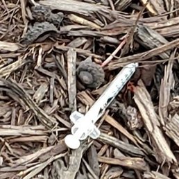 Syringe found in mulch, out walking dog.
