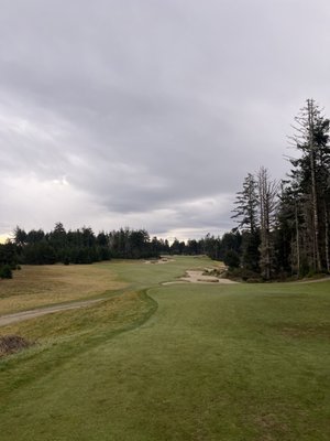 Bandon Dunes Golf Resort - Pacific Dunes by null