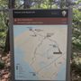 Photo of Beech Forest Trail