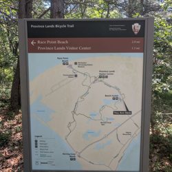 Beech Forest Trail