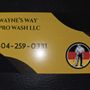 Wayne's Way Pro Wash