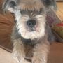 Photo of Pet Passages - Southbury, CT