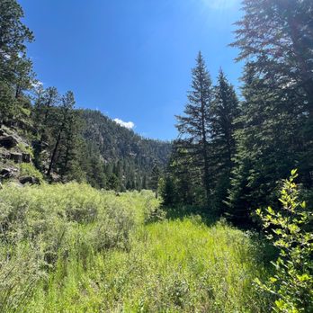 Black Hills Outdoor Fun - View on the ride. - ATV Rentals/Tours Near Me - Rapid City, South Dakota