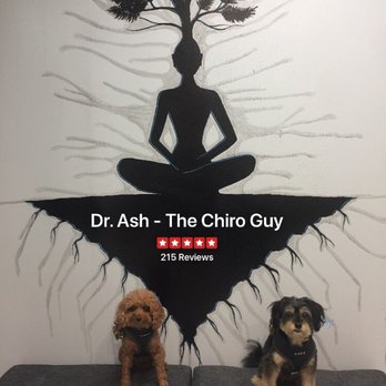 The Chiro Guy - Chiropractors Near Me - Beverly Hills, California The Chiro Guy - Chiropractors Near Me - Beverly Hills, California