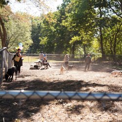 Edgewood Park Dog Park