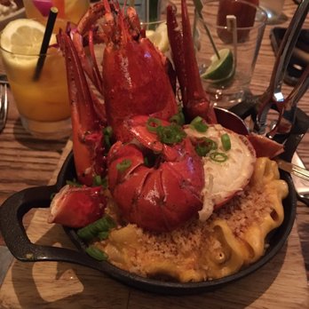 Yardbird - Lobster Macaroni and Cheese - Southern Near Me - Las Vegas, Nevada Yardbird - Lobster Macaroni and Cheese - Southern Near Me - Las Vegas, Nevada