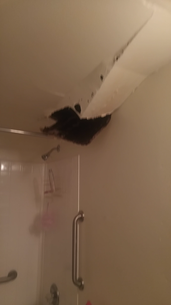 CASTLEWOOD APARTMENTS Updated July 2024 17600 Detroit Ave, Lakewood, Ohio Apartments