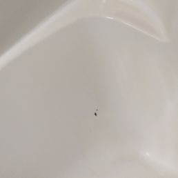 Dirty spot on bathtub Dirty spot on bathtub