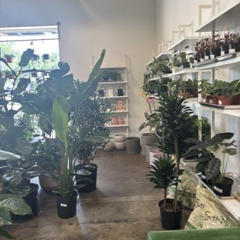 Flora - Nurseries & Gardening Near Me - Nashville, Tennessee Flora - Nurseries & Gardening Near Me - Nashville, Tennessee