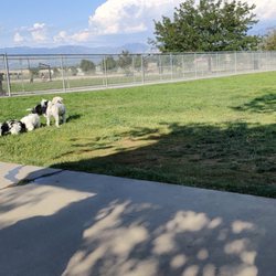 West Jordan Dog Park - Frens