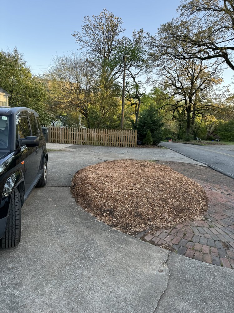 Grays Tree Service - tree service in Birmingham, AL