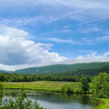 Pollak Vineyards - Wineries Near Me - Greenwood, Virginia Pollak Vineyards - Wineries Near Me - Greenwood, Virginia