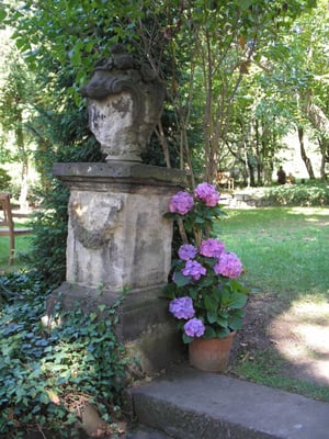 Hotel Villa Sorgenfrei by null