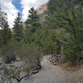 Fletcher Canyon - Hiking Near Me - Las Vegas, Nevada Fletcher Canyon - Hiking Near Me - Las Vegas, Nevada