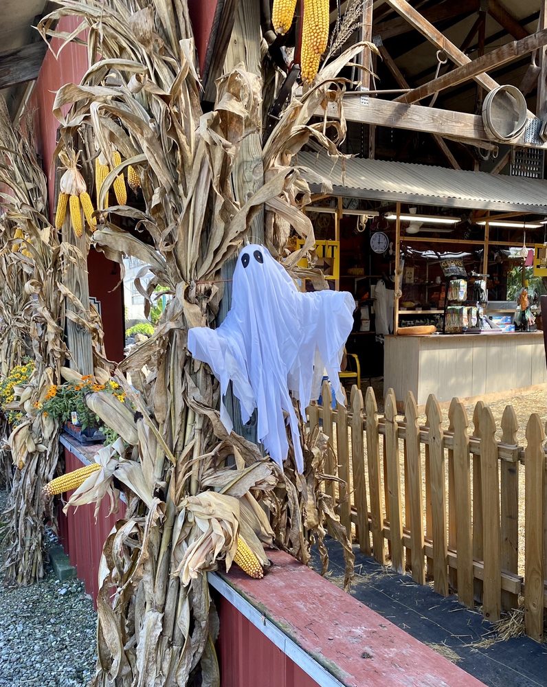 DANIEL’S FARM & GREENHOUSE 44 Photos & 19 Reviews 352 Jungermann Rd