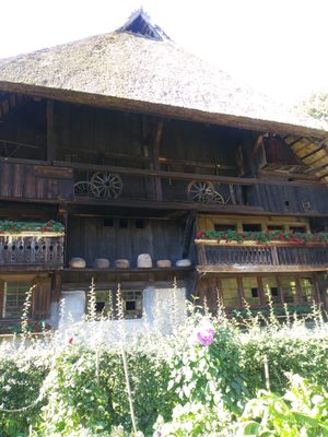 Black Forest Open Air Museum by null