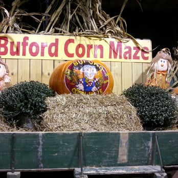 Buford Corn Maze - Attraction Farms Near Me - Buford, Georgia