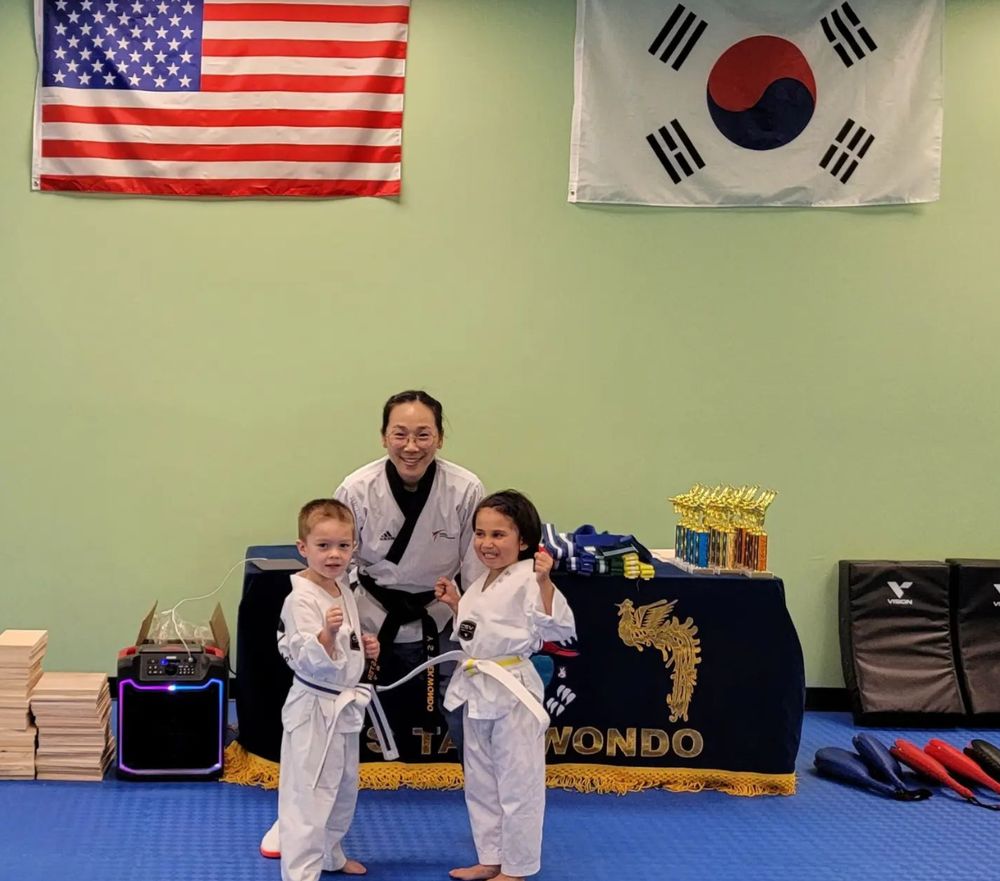 Y S Taekwondo Logo