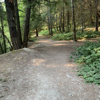 China Lake Nature Area - Trail through the trees. - Parks Near Me - Tacoma, Washington China Lake Nature Area - Trail through the trees. - Parks Near Me - Tacoma, Washington