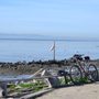 Photo of Shoreline Trail Fremont