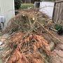 Photo of Give Me That Junk