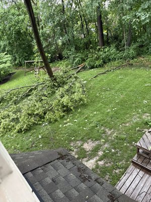 Tree Branch Cut Up and Removal - This customer had a very big, heavy, and thick branch fall from a tree during the storms! They contacted us and we gave them a FREE quote. Customer was very doubtful at first and didn't think that big of a thing would fit in my trailer. The Branch was so deep with the other trees we tied it up and pulled it with my truck. We got it all cut up and hauled asway for them. They were so relieved and appreciative that we were able to get it all done and hauled away, and restore their peace and space. Tree Branch Cut Up and Removal - This customer had a very big, heavy, and thick branch fall from a tree during the storms! They contacted us and we gave them a FREE quote. Customer was very doubtful at first and didn't think that big of a thing would fit in my trailer. The Branch was so deep with the other trees we tied it up and pulled it with my truck. We got it all cut up and hauled asway for them. They were so relieved and appreciative that we were able to get it all done and hauled away, and restore their peace and space.