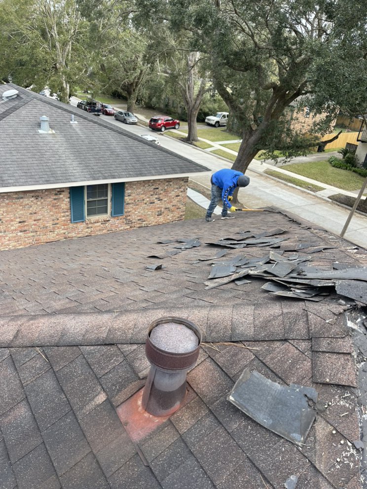 Slide of Tigers Construction