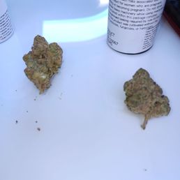 Primo flower!! Primo flower!!