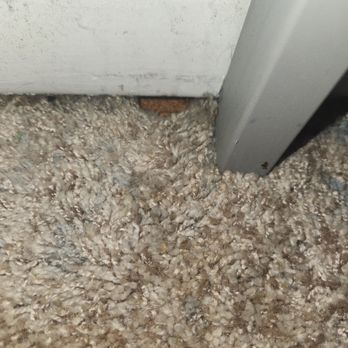 CRESCENT APARTMENTS - Updated January 2026 - 1527 Cameron Crescent