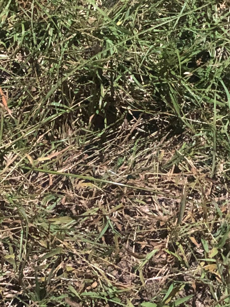 LEISURE LANE RV RESORT PINEHURST 476 Terri Ln, Pinehurst, Texas RV