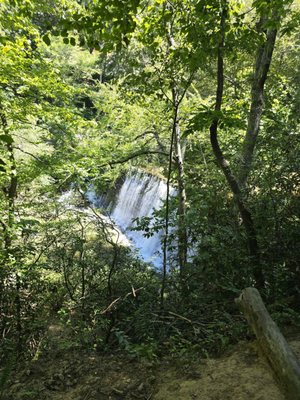 Vickery Creek Trail by null