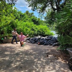 Gray Line Orlando