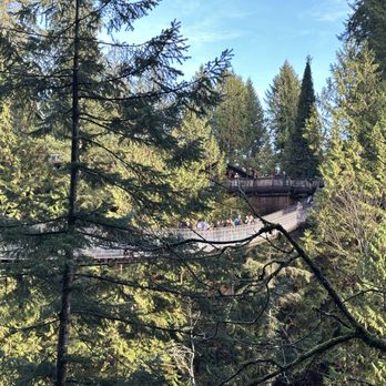 Capilano Suspension Bridge Park - Parks Near Me - North Vancouver, British Columbia