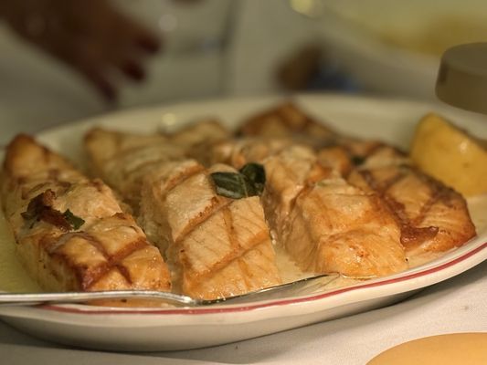 Maggiano's Little Italy by null