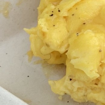 Lost Parrot Cafe - Hair in my eggs wtf - Breakfast & Brunch Near Me - South Pasadena, California Lost Parrot Cafe - Hair in my eggs wtf - Breakfast & Brunch Near Me - South Pasadena, California