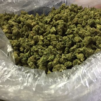 GreenTours - Cannabis Tours Near Me GreenTours - Cannabis Tours Near Me