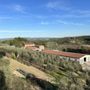 Photo of Fattoria Poggio Alloro