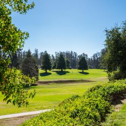 Margaret Morris - Ocean Breeze Real Estate - Blacklake Condo View