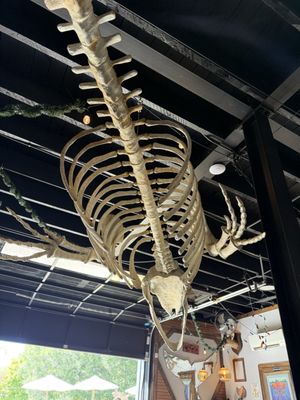 The Whale A Craft Beer Collective by null