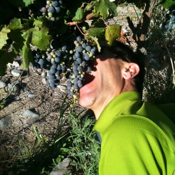 FranksWine - Frank Pagliaro travels the world in search of wines for the shop! Here Frank enjoys ripe Syrah in Clile. - Beer, Wine & Spirits Near Me - Wilmington, Delaware FranksWine - Frank Pagliaro travels the world in search of wines for the shop! Here Frank enjoys ripe Syrah in Clile. - Beer, Wine & Spirits Near Me - Wilmington, Delaware