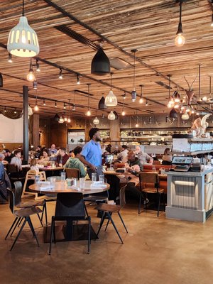 Superica Dunwoody by null