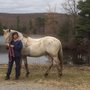 Photo of Rocke N Horse Farm