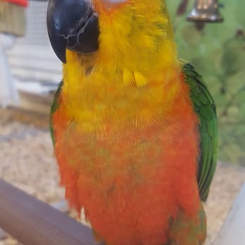 PetSmart - Pet Groomers Near Me - Lakewood, Washington PetSmart - Pet Groomers Near Me - Lakewood, Washington