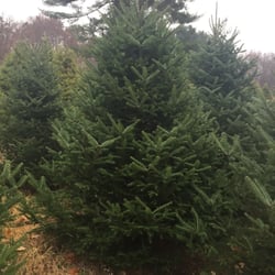 CJ Donovan & Sons Nursery